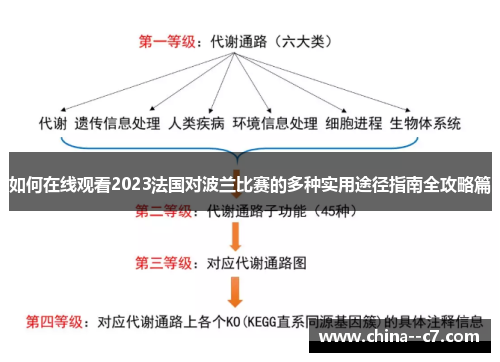 如何在线观看2023法国对波兰比赛的多种实用途径指南全攻略篇
